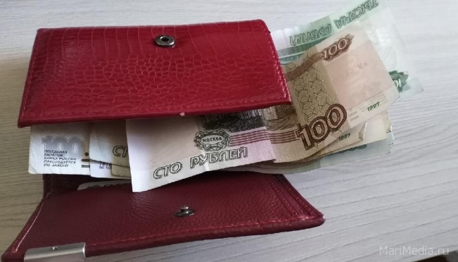 Как увеличение МРОТ отразится на зарплатах жителей Марий Эл