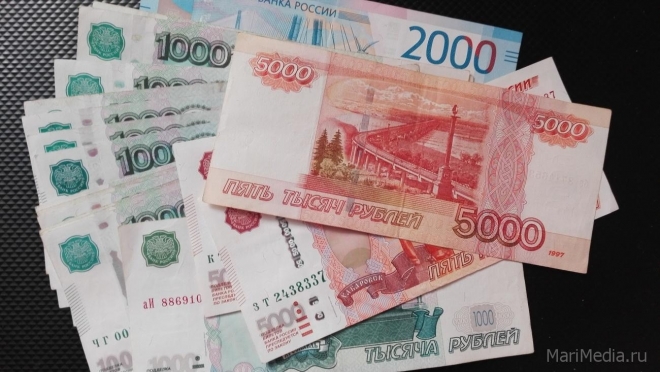 Рецидивист украл у престарелых родителей 200 тысяч рублей