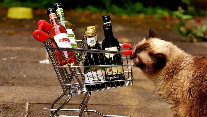 В Росстате посчитали, сколько россияне тратят на покупку табака и алкоголя