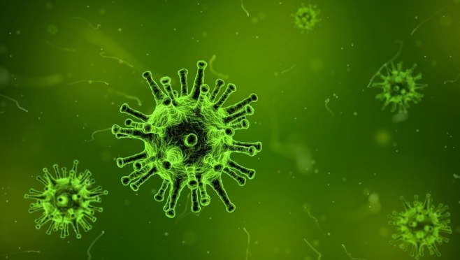 Роспотребнадзор предупреждает об эпидемии гриппа в Европе
