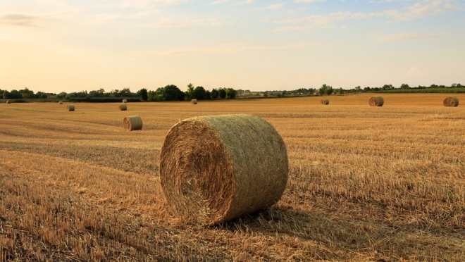 В деревне Шургунур ущерб от пожара оценили в 200 тысяч рублей
