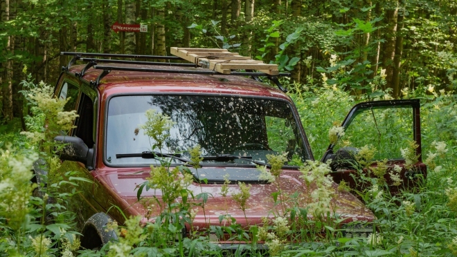 В Медведевском районе заблудившийся путешественник вышел из леса по стрелкам