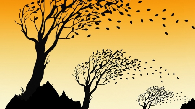 В Марий Эл ветер не планирует стихать и ночью 29 октября