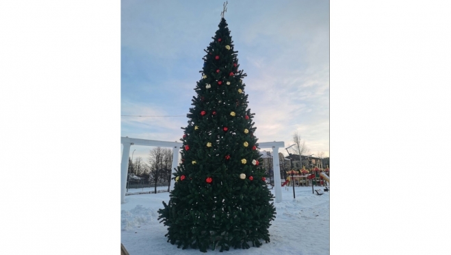 В Козьмодемьянске установили главную новогоднюю ель
