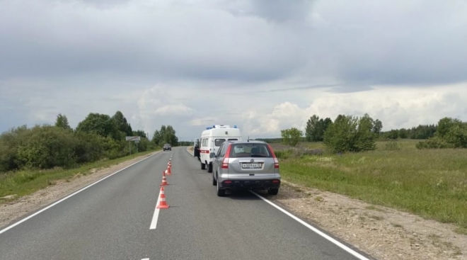 В Килемарском районе 73-летний водитель Honda сбил человека