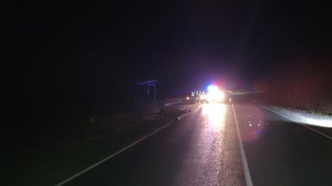 В ДТП в Медведевском районе погиб пенсионер