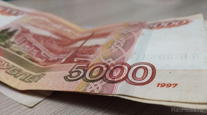Йошкаролинка, желая заработать на инвестициях, перевела мошеннику более двух миллионов