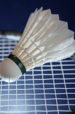 Первенство Республики Марий Эл по бадминтону «Дети Акпарса»