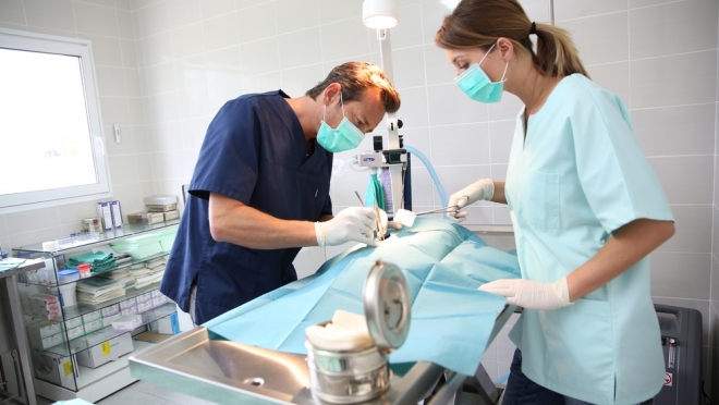 Согласован график работы Йошкар-Олинской ветеринарной клиники в марте