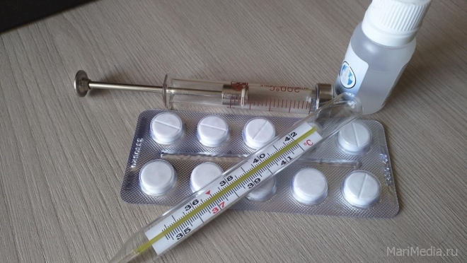 В Марий Эл на неделе почти 6 тысяч человек заболели ОРВИ