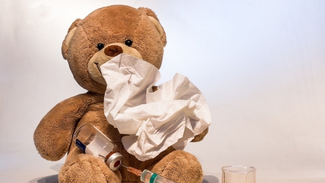 В Марий Эл на треть сократилось количество заболеваний ОРВИ