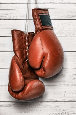 Кубок Республики Марий Эл по муайтай