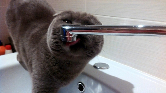 Йошкаролинцы останутся без холодной воды