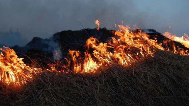 Сжигать мусор на участках нужно правильно