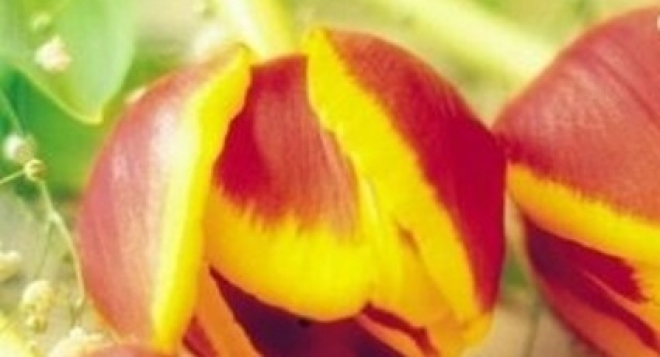 Праздничный концерт "Салют Победы!"