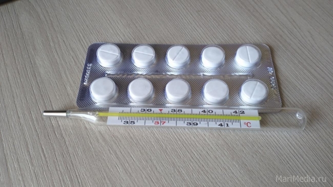 В Марий Эл стали меньше болеть ОРВИ