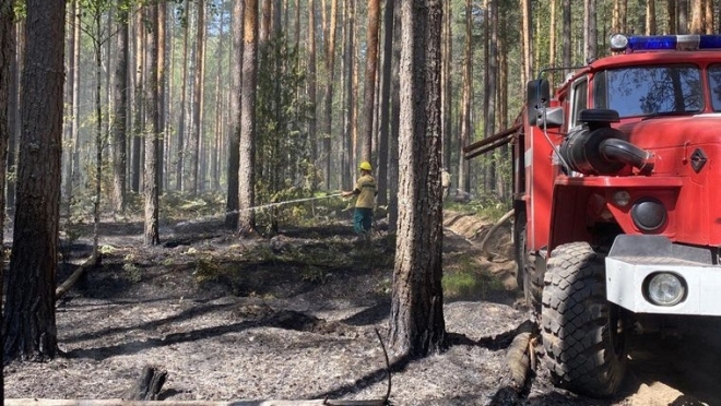 Число лесных пожаров в Марий Эл достигло 40