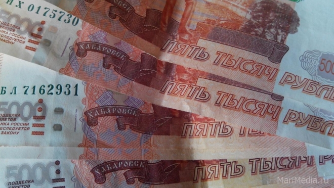 Пока житель Сернурского района спал, из его борсетки пропало более 26 тысяч рублей