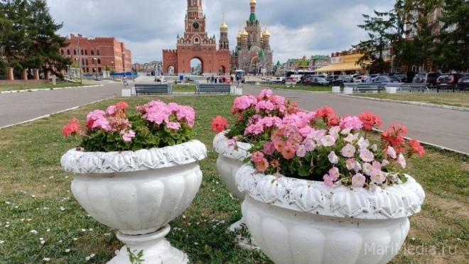 В Йошкар-Оле на цветочное оформление потратят 25 млн рублей