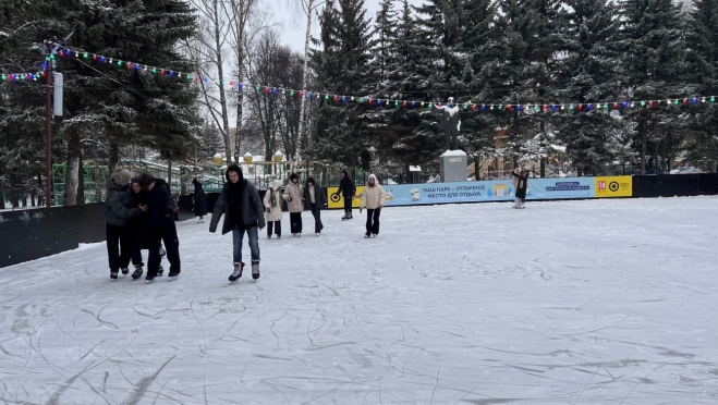 В парке Йошкар-Олы приостановили работу «Колесо обозрения» и каток