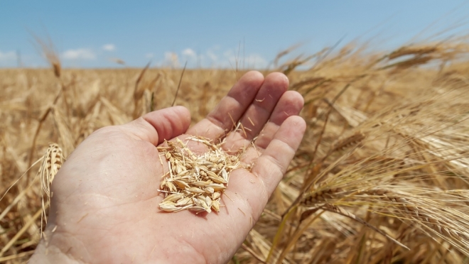 Глава Марий Эл отметил трёх жителей республики званиями «Заслуженный работник сельского хозяйства»