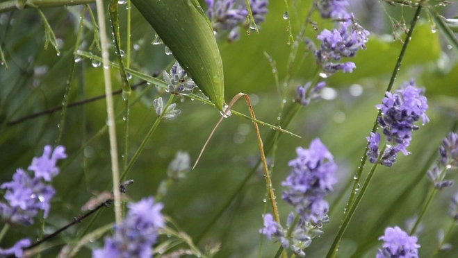 Ведущие синоптики России не ждут жаркой погоды