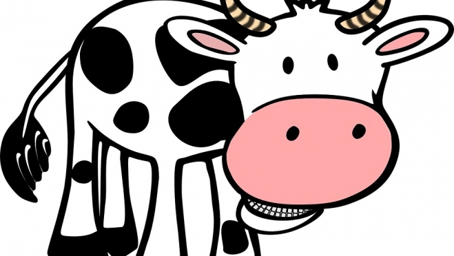 В магазине «Больничный» продавали просроченные кисломолочные продукты