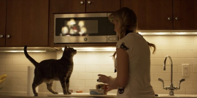 Без фильтров