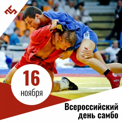 Всероссийский день самбо