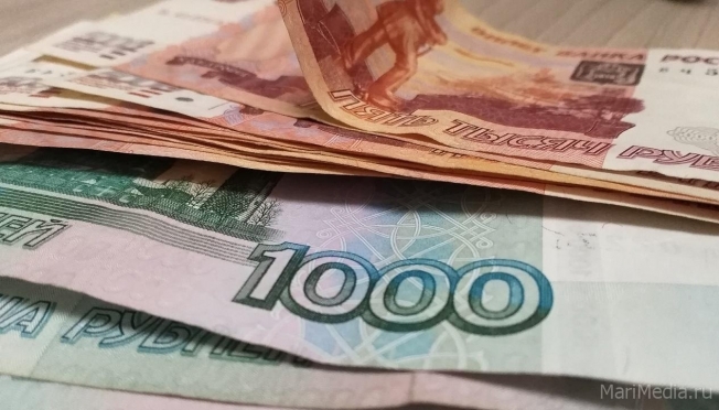 Йошкаролинка, спасая накопления, лишилась 200 тысяч рублей