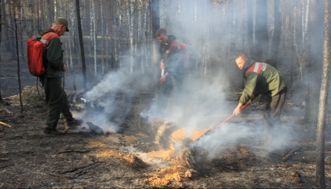 Пожароопасный сезон в лесах Марий Эл начнётся с 10 апреля