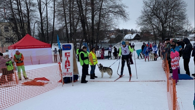 В Марий Эл впервые прошли гонки на собачьих упряжках