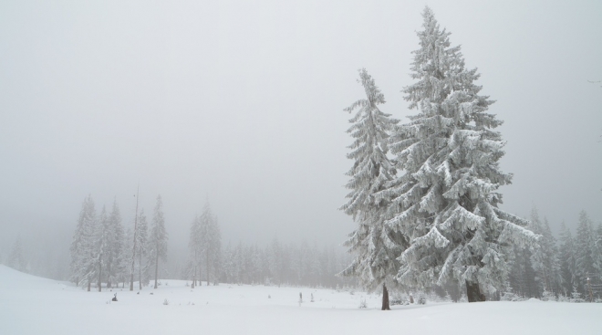 Завтра синоптики прогнозируют в Марий Эл метель и сильный снег