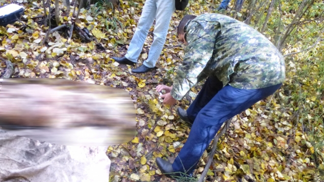 В Марий Эл мужчина закопал жену в овраге в лесу 18+