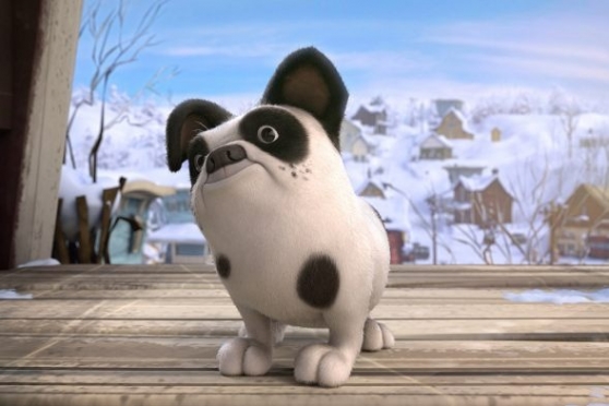 Снежные гонки