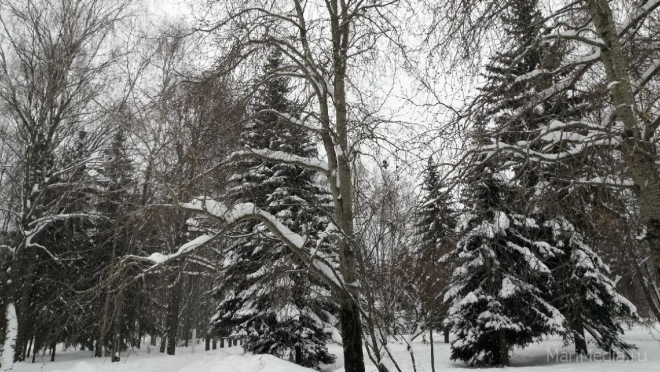 За выходные в Марий Эл выпала половина месячной нормы осадков