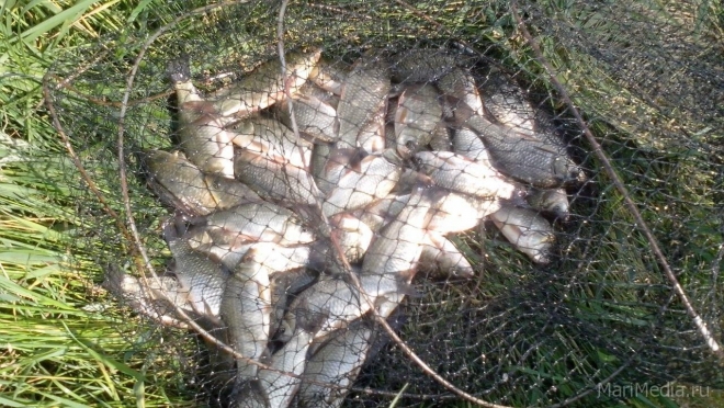 30 мая – Евдокия Свистунья