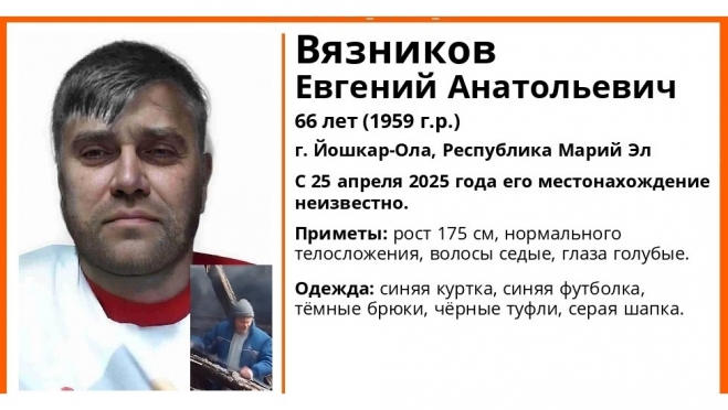 Две недели назад в Йошкар-Оле пропал 66-летний Евгений Вязников