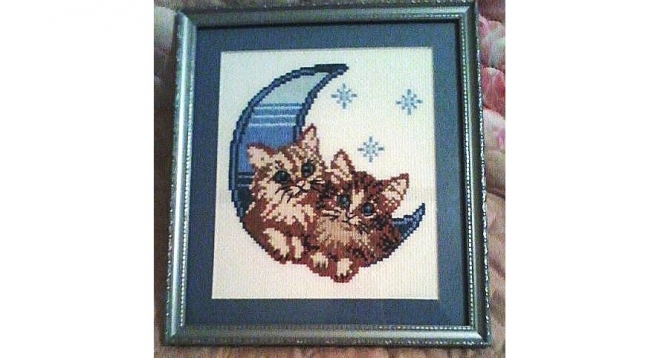 Открытые миру