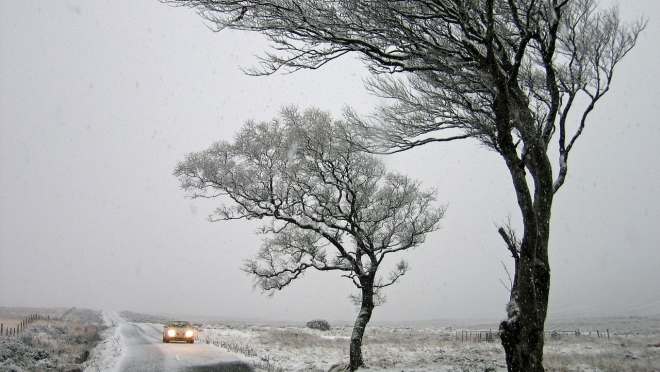 В пятницу в Марий Эл порывы ветра будут достигать 21 м/с