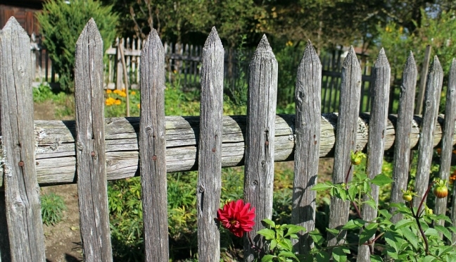В селе Шоруньжа 12-летний школьник на мопеде врезался в забор