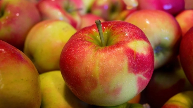 Жители Марий Эл несут в храмы яблоки, груши и сливы