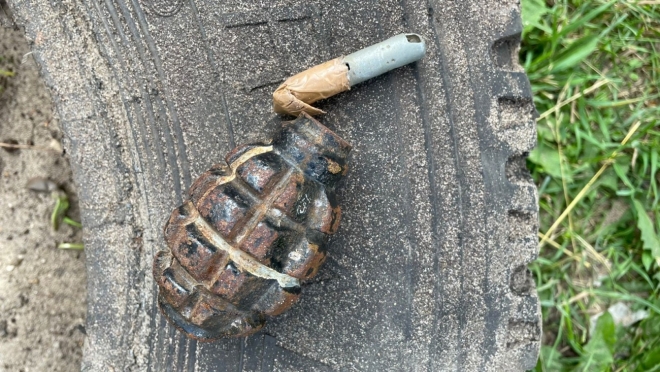 Во дворе дома по бульвару Чавайна обнаружили ручную противопехотную гранату Ф-1