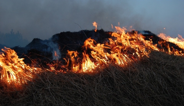 В Марий Эл возгорание травы пошло на спад