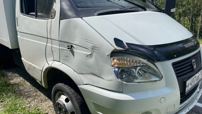 В Марий Эл водитель грузовика сбила велосипедистку и скрылась с места ДТП