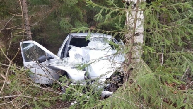 В Килемарском районе пьяный водитель съехал в кювет и врезался в дерево