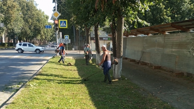 В Йошкар-Оле в самом разгаре сезон покоса травы