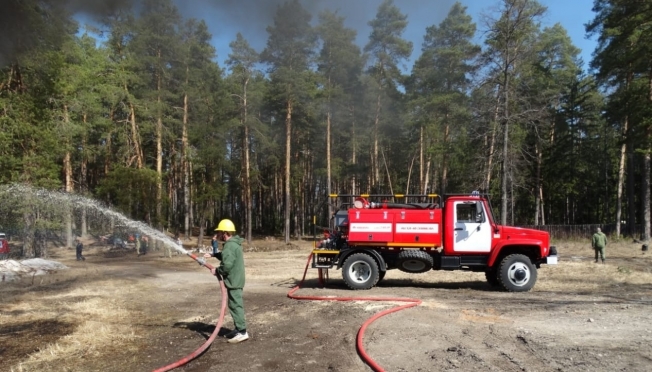 До 2 августа в лесах Марий Эл сохраняется высокая пожароопасность