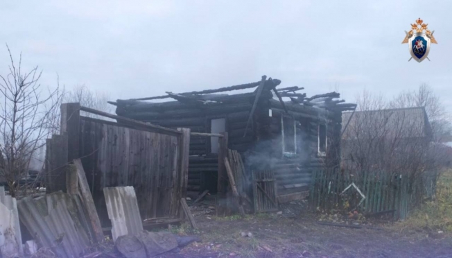 В одном из сёл Горномарийского района на пожаре погибли люди