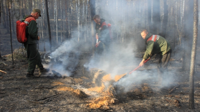 В Кокшайском лесничестве тушат пожар